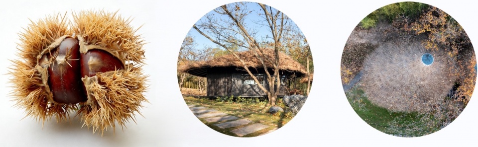 chestnut grove courtyard at the foot of gaofeng chansi monastery by parallect design