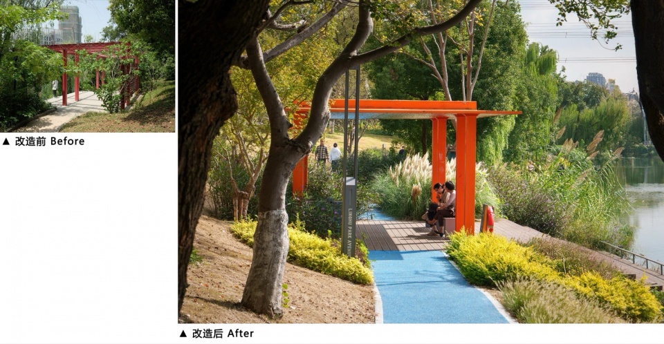 Landscape Enhancement Along Linghu Avenue in Wuxi by MYP INC