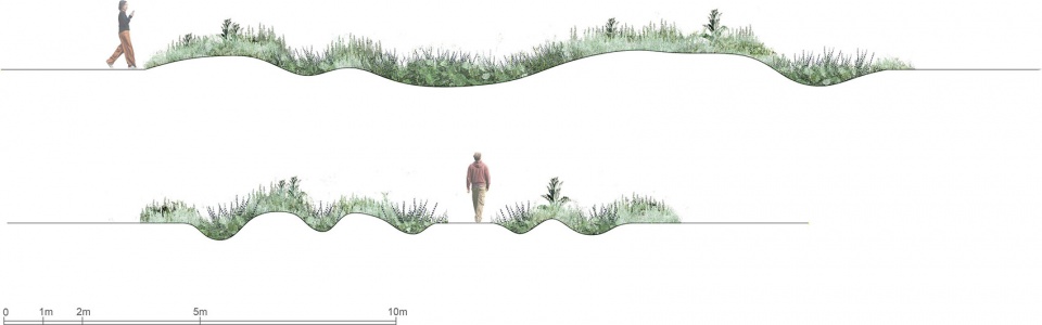 The International Garden Festival