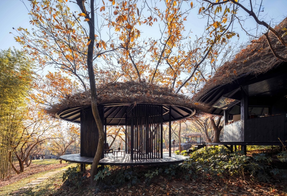 chestnut grove courtyard at the foot of gaofeng chansi monastery by parallect design