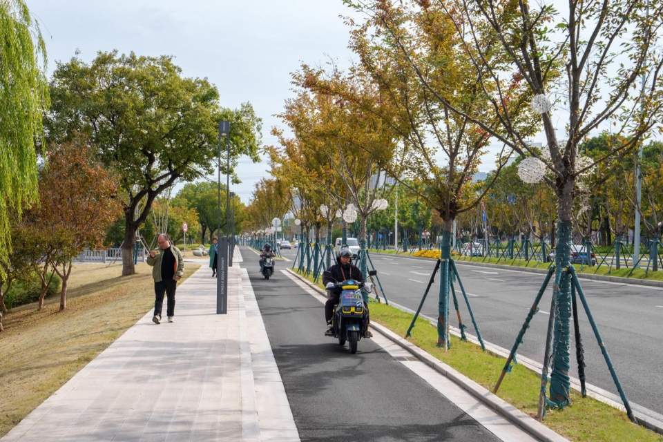 Landscape Enhancement Along Linghu Avenue in Wuxi by MYP INC