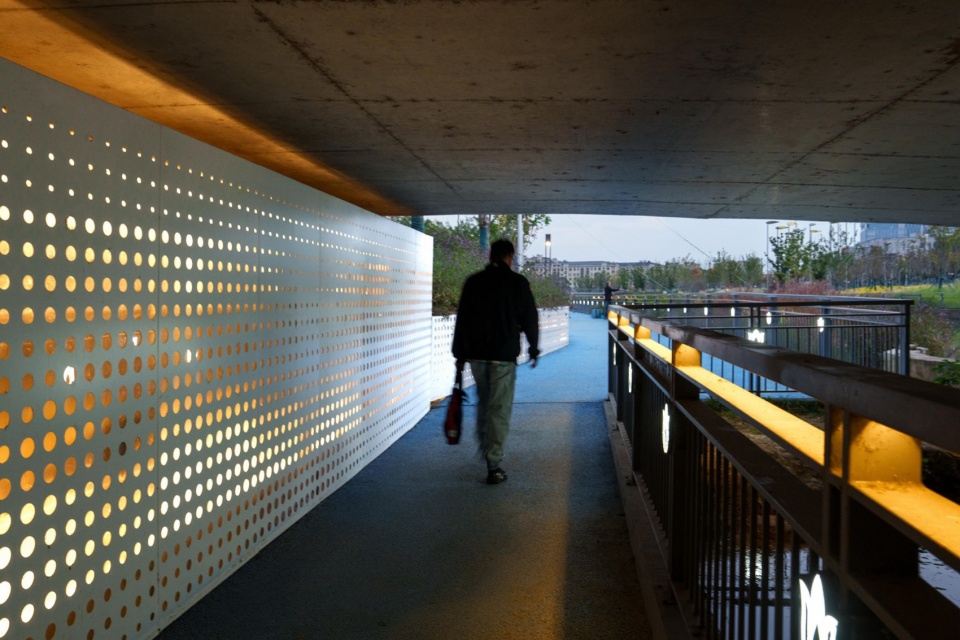 Landscape Enhancement Along Linghu Avenue in Wuxi by MYP INC