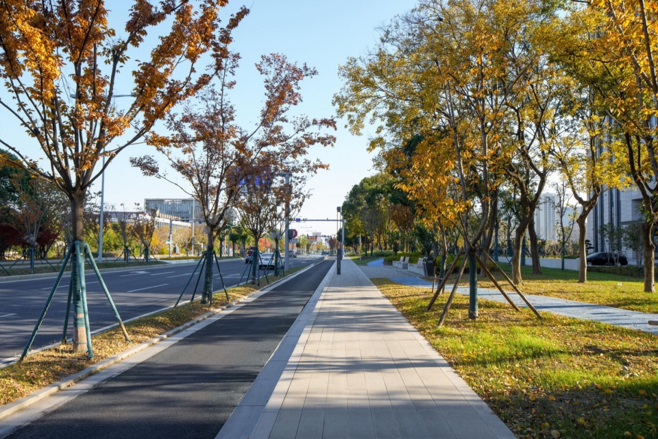 Landscape Enhancement Along Linghu Avenue in Wuxi by MYP INC