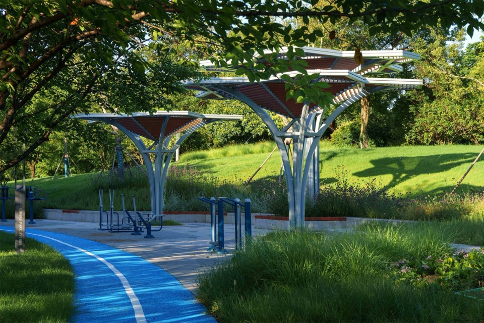 Landscape Enhancement Along Linghu Avenue in Wuxi by MYP INC