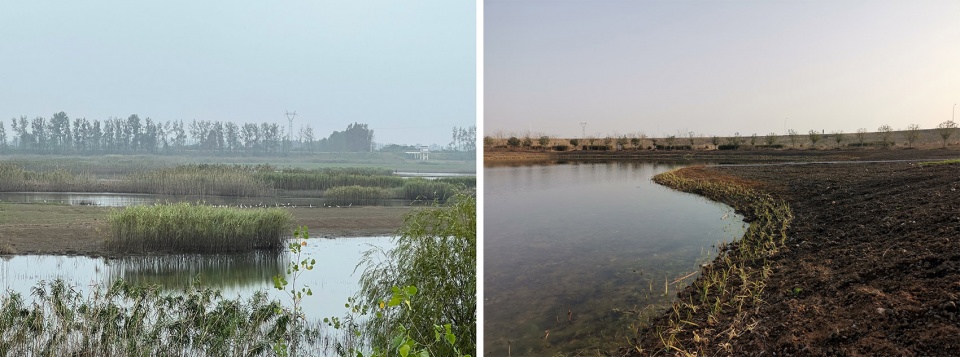 Chenhu Wetland Art Center by Trace Architecture Office 拷贝