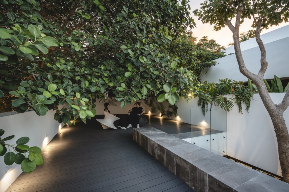 THE ASYLUM by Arkham Projects