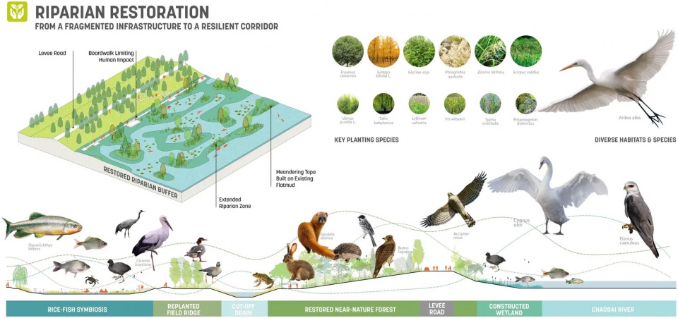 2025 asla residential design award of honor huckleberry perch matthew cunningham landscape design
