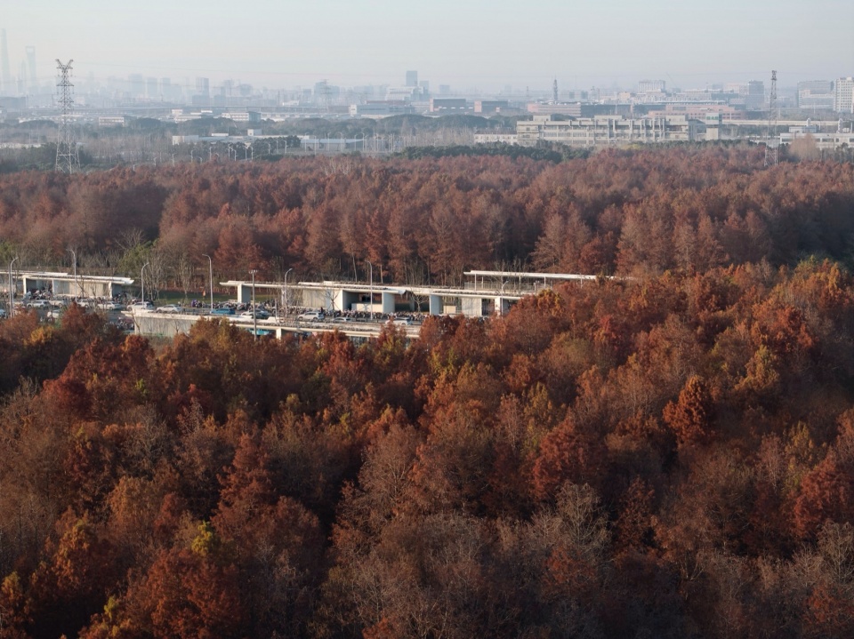 Emerging from Wetland East Kangqiao Station of Shanghai Airport Link by Original Design Studio TJAD