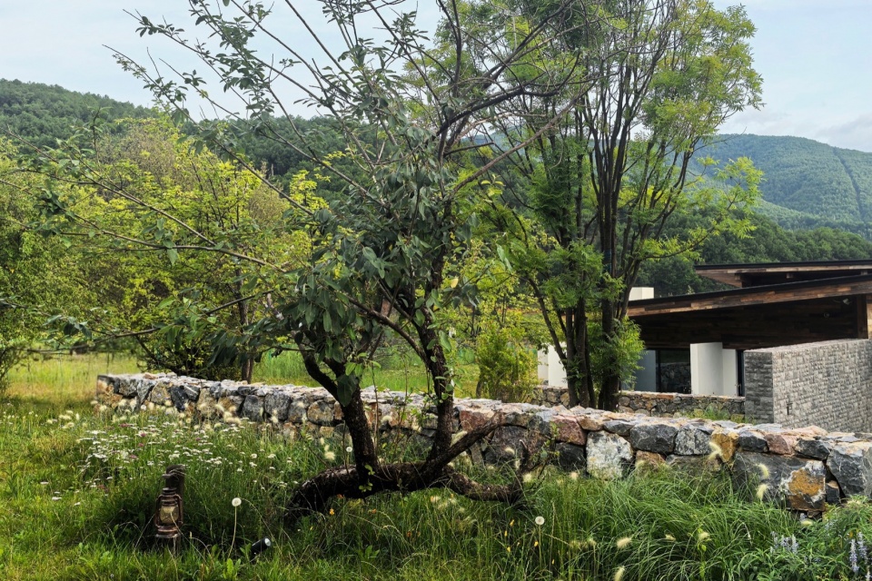 Lugu Lanyond Alpine Lake Retreat by Z scape