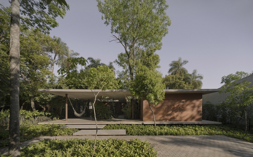 a forest in the house by equipo de arquitectura