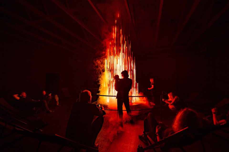 dark matter by forest season