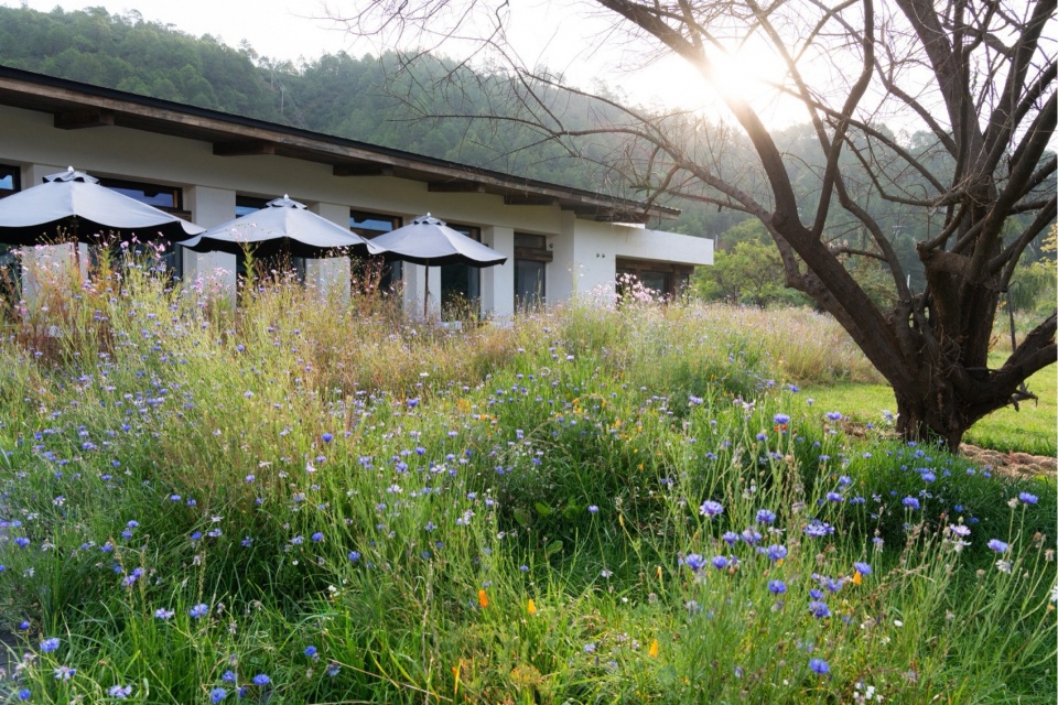 Lugu Lanyond Alpine Lake Retreat by Z scape