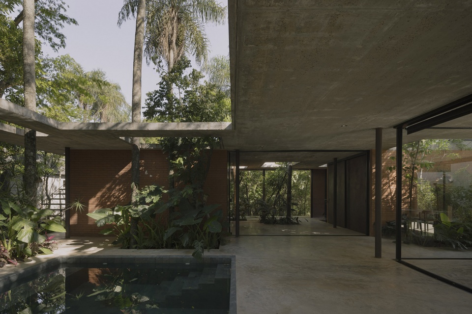 a forest in the house by equipo de arquitectura