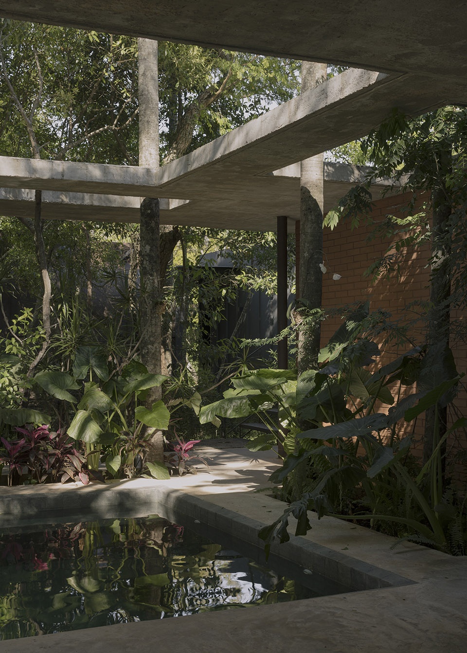 a forest in the house by equipo de arquitectura