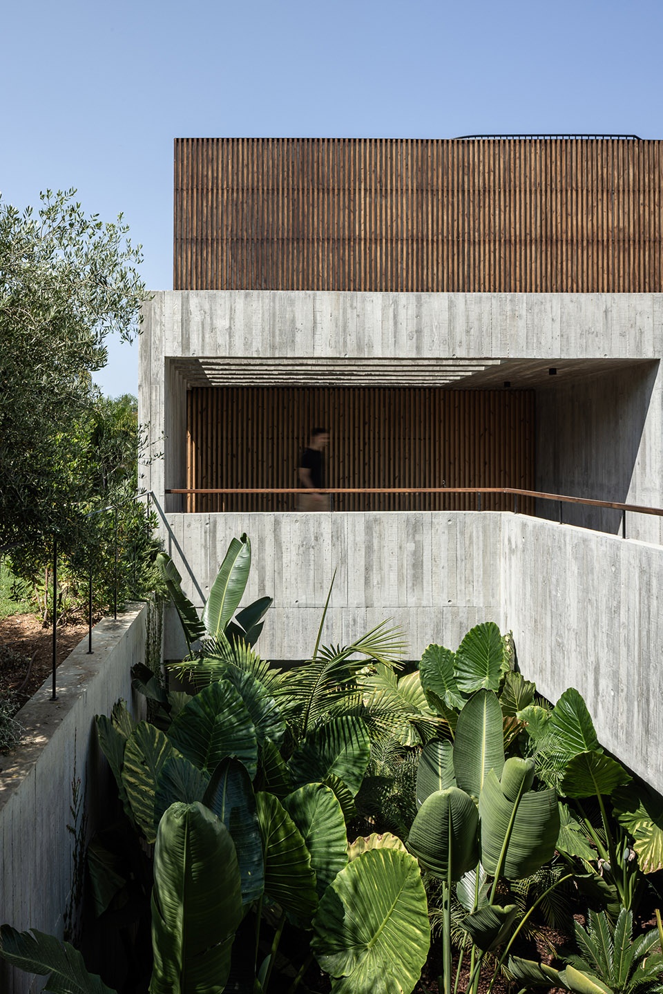 casa colinas by atelier data