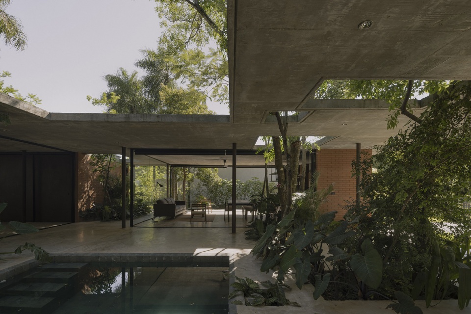 a forest in the house by equipo de arquitectura
