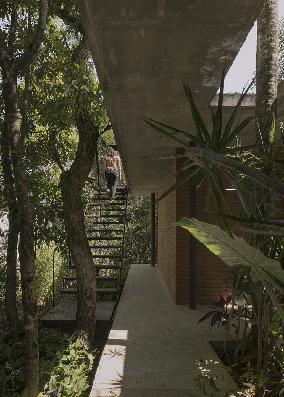 a forest in the house by equipo de arquitectura