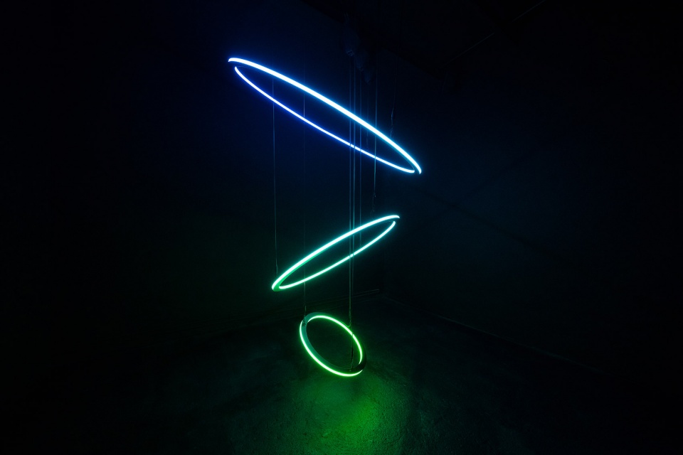 dark matter by forest season