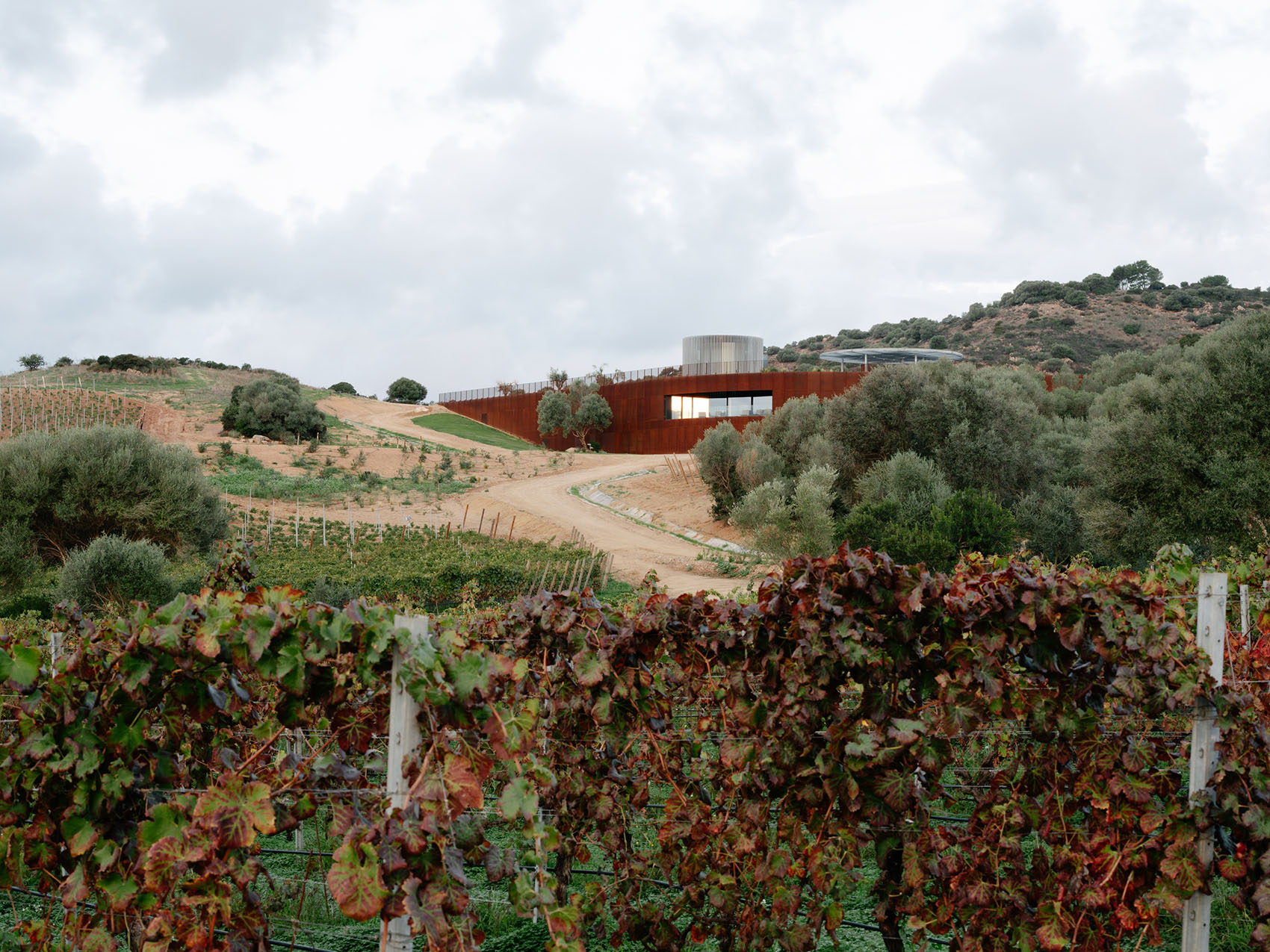 Winery Tenute Maestrale