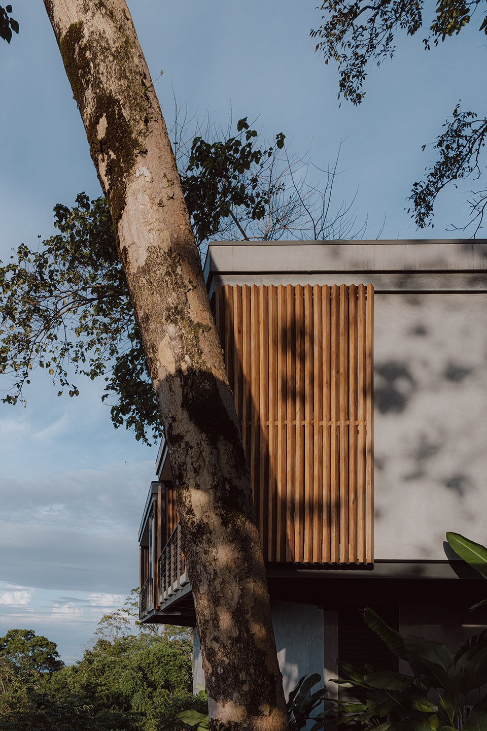 casa komorebi by studio saxe