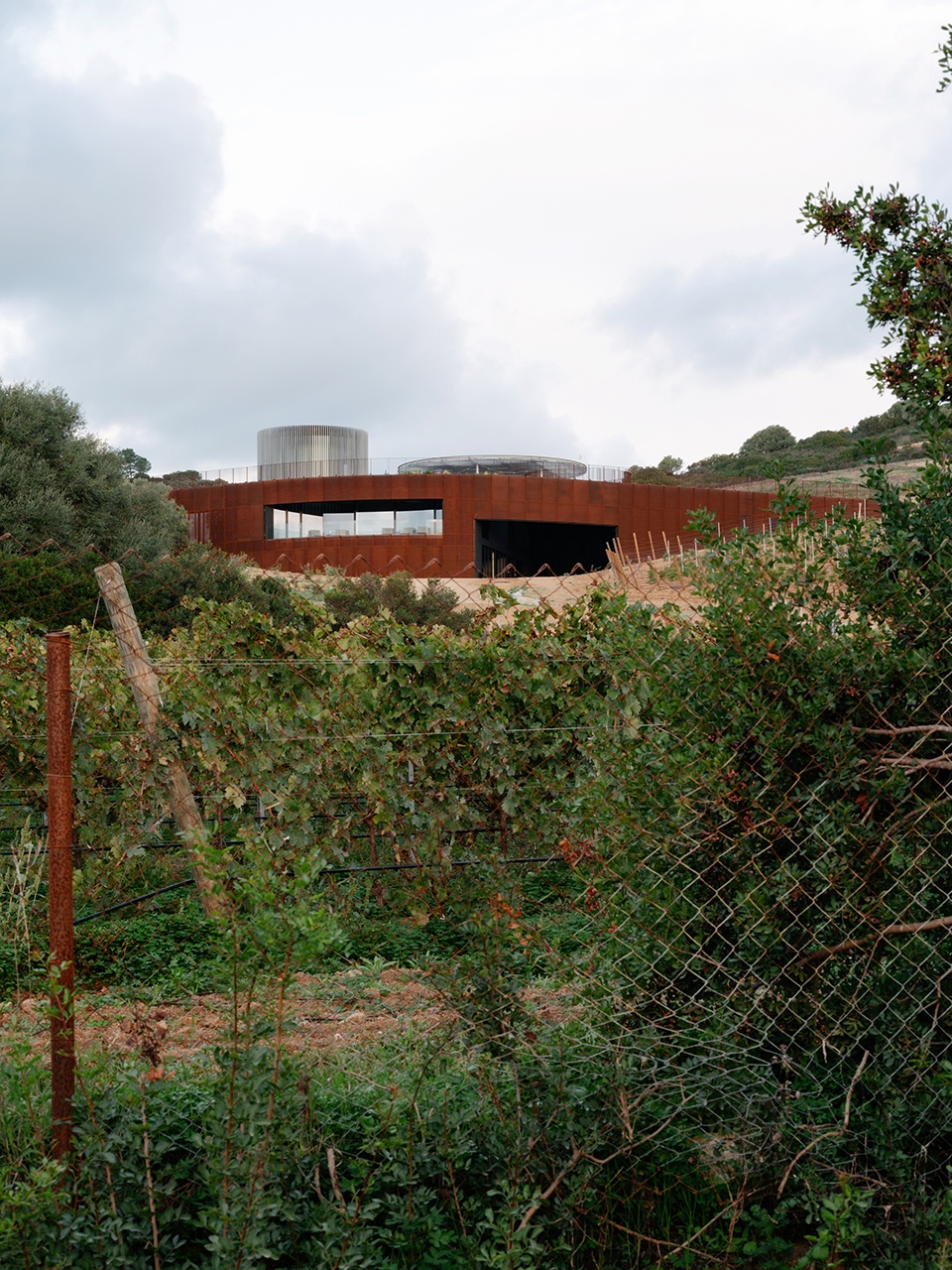 Winery Tenute Maestrale