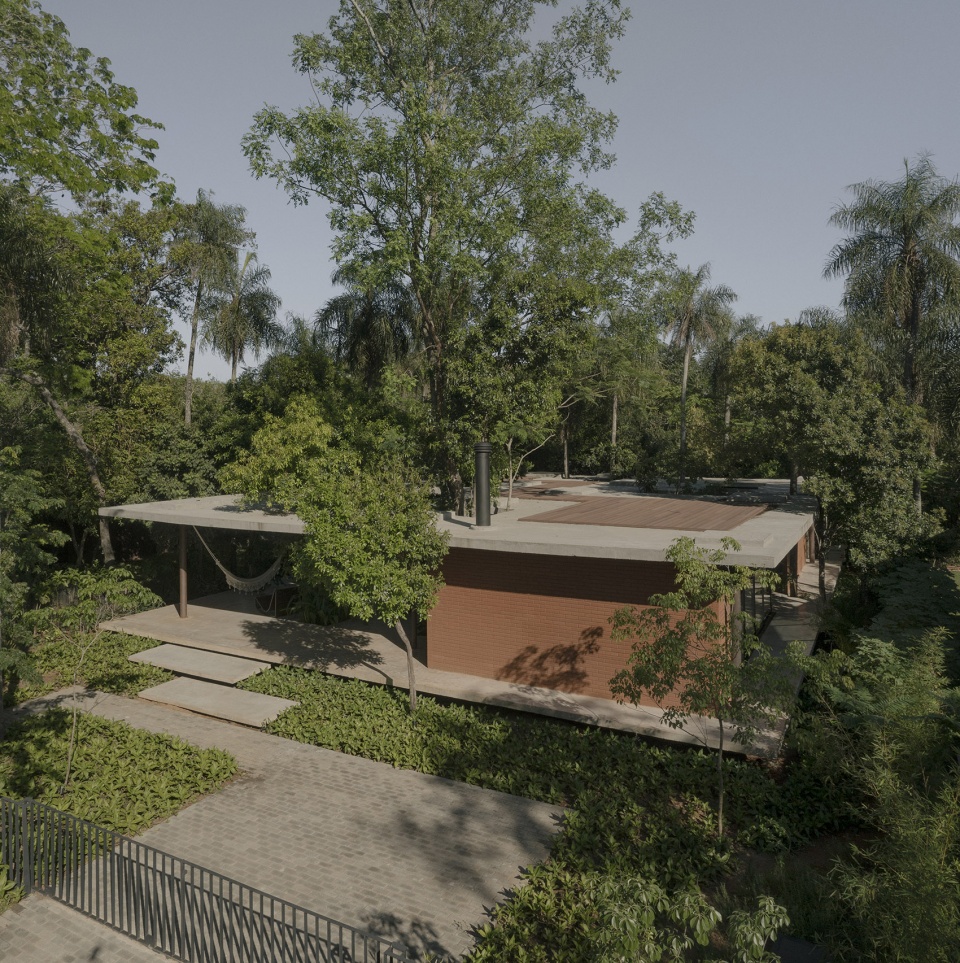 a forest in the house by equipo de arquitectura