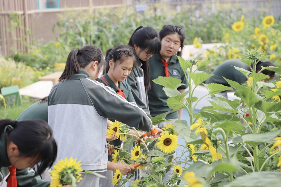 the 5th national community garden design and community engagement competition and action 2025