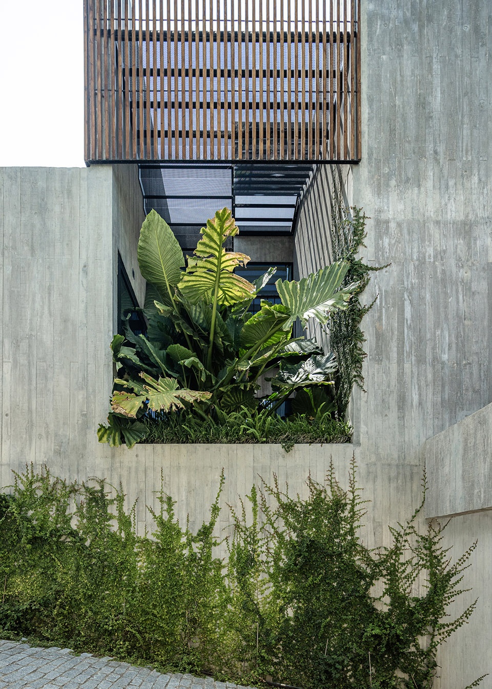 casa colinas by atelier data