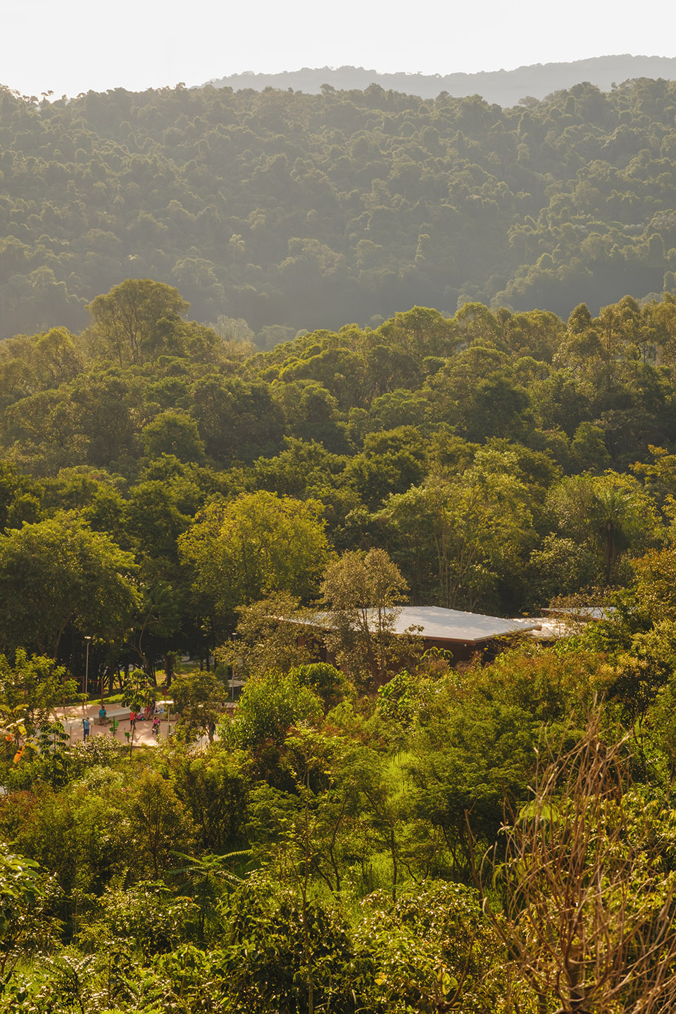 Corrego do Bispo