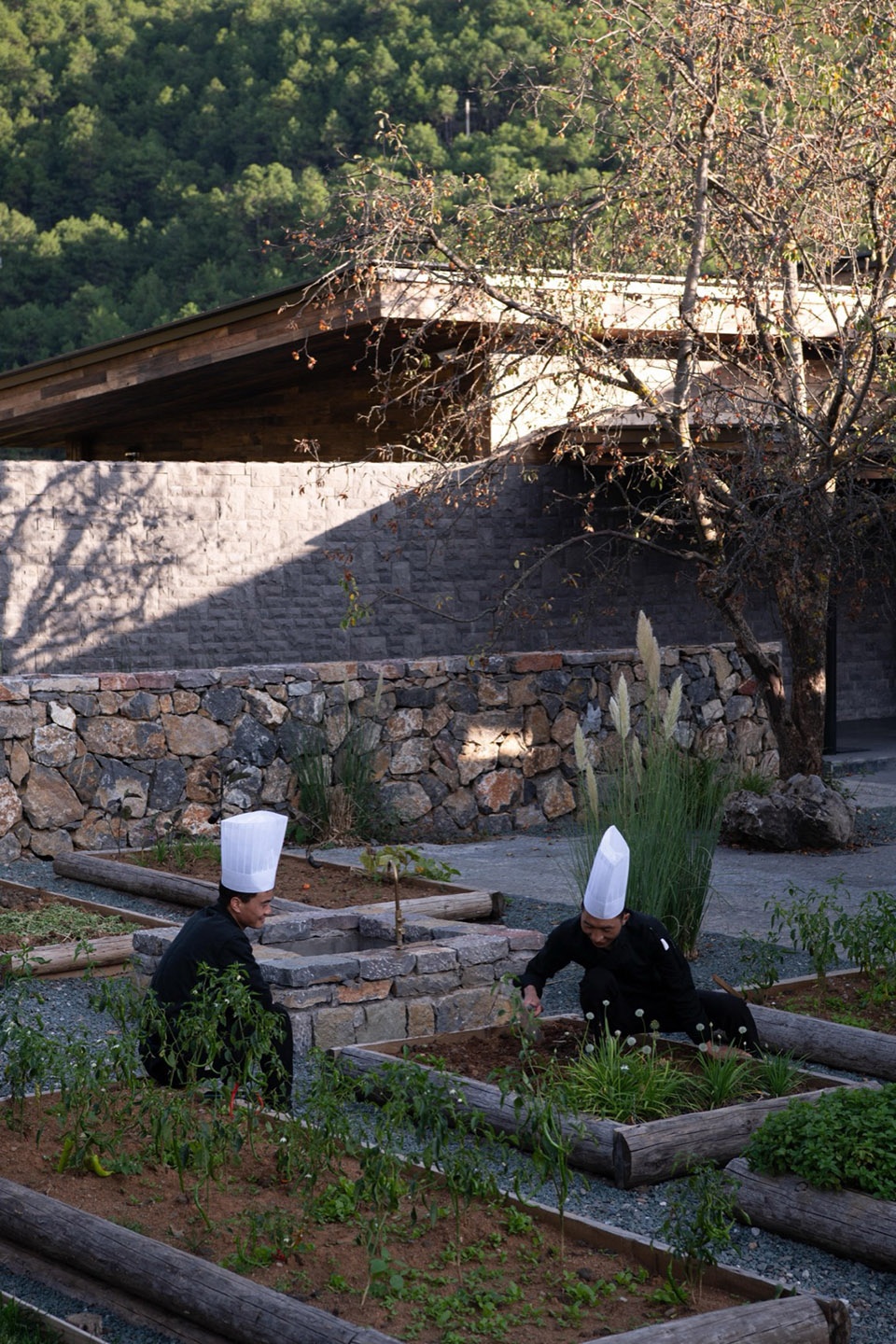 Lugu Lanyond Alpine Lake Retreat by Z scape