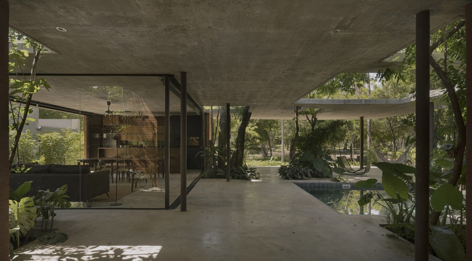 a forest in the house by equipo de arquitectura