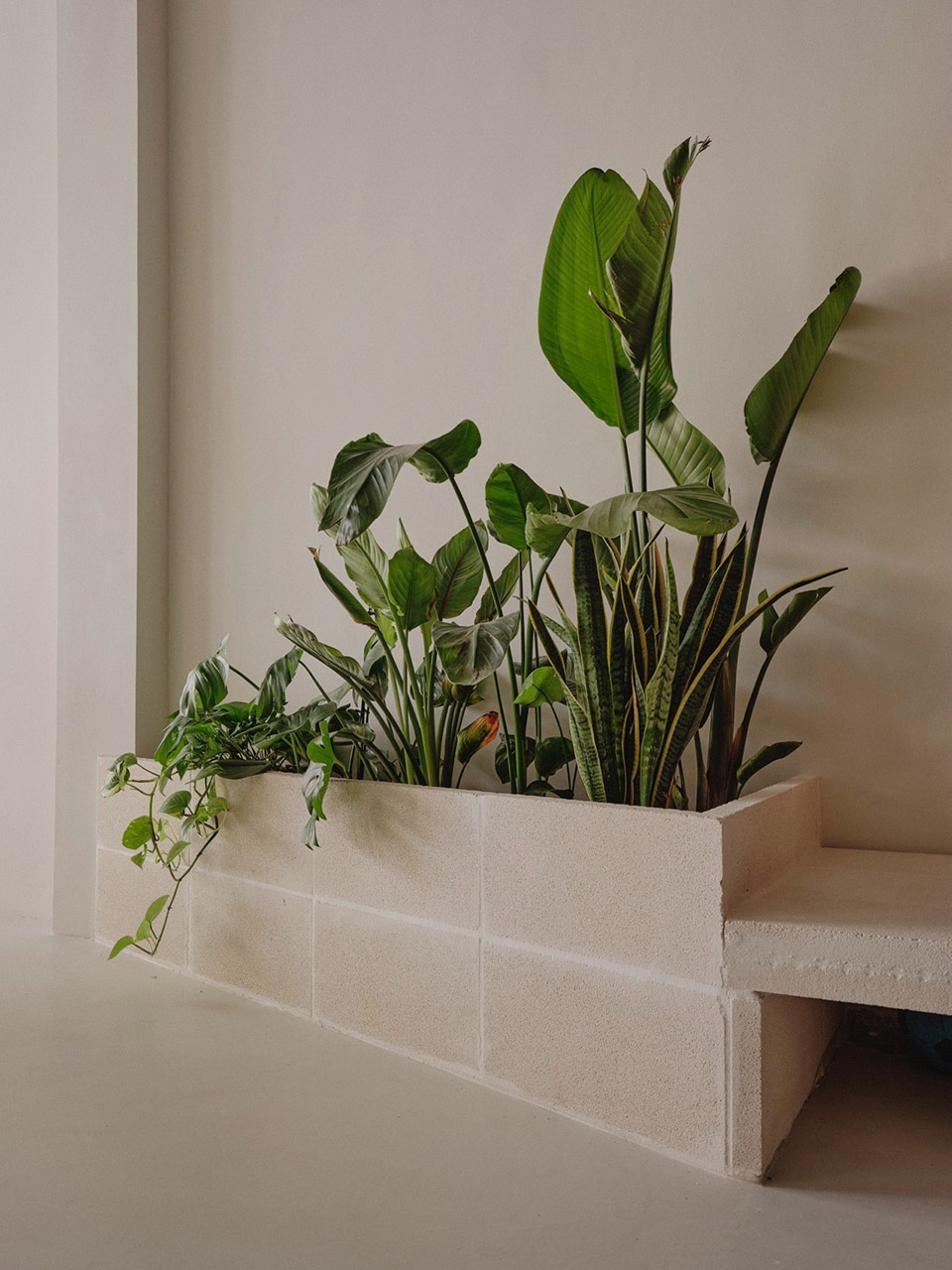 Sornells 21 by TOT Studio Paloma Bau Estudio