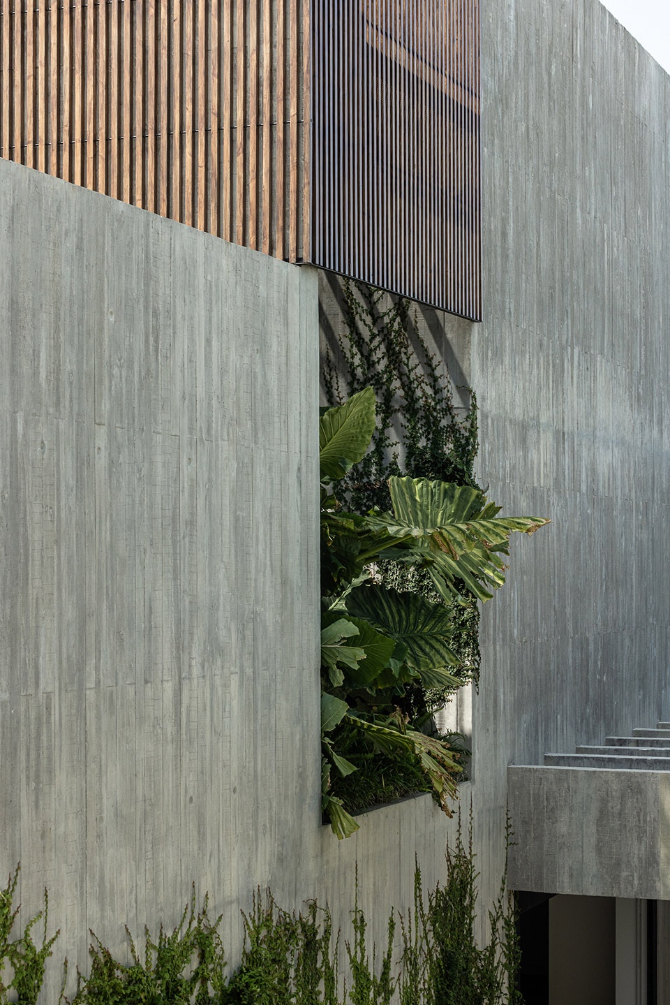 casa colinas by atelier data
