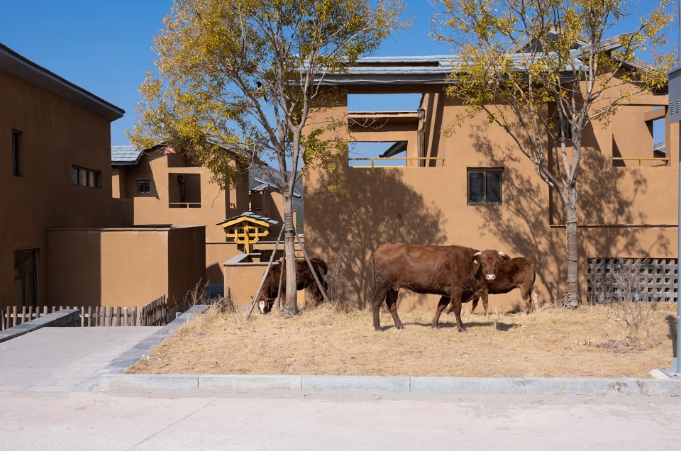 yanmaidi resettlement community by contemplative space architectural design co ltd