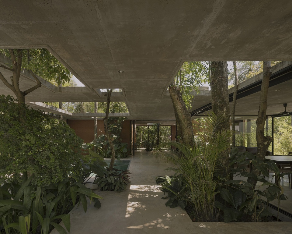 a forest in the house by equipo de arquitectura