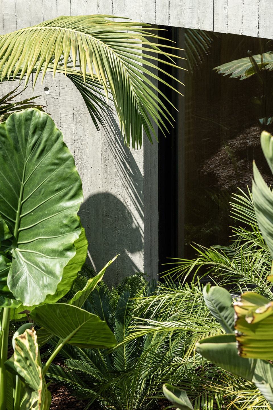 casa colinas by atelier data