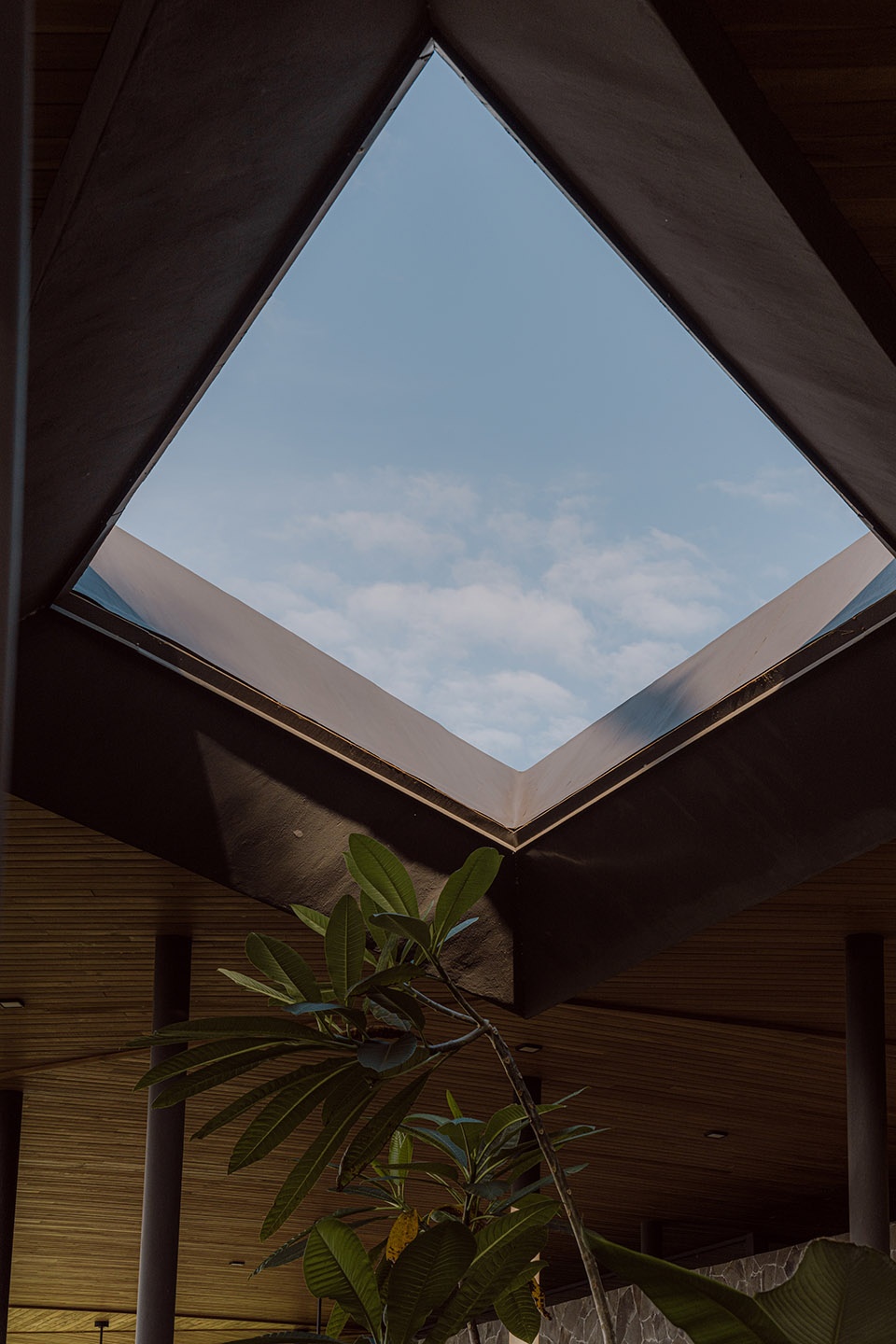 casa komorebi by studio saxe
