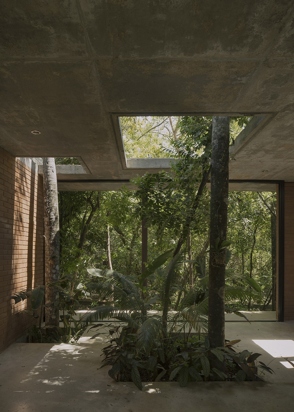a forest in the house by equipo de arquitectura