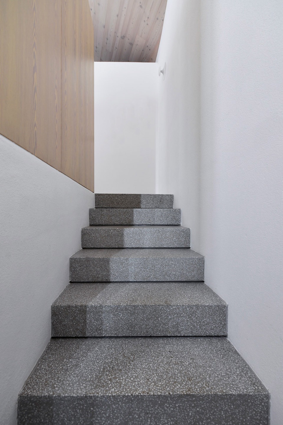 The Avber House by OFIS Architects