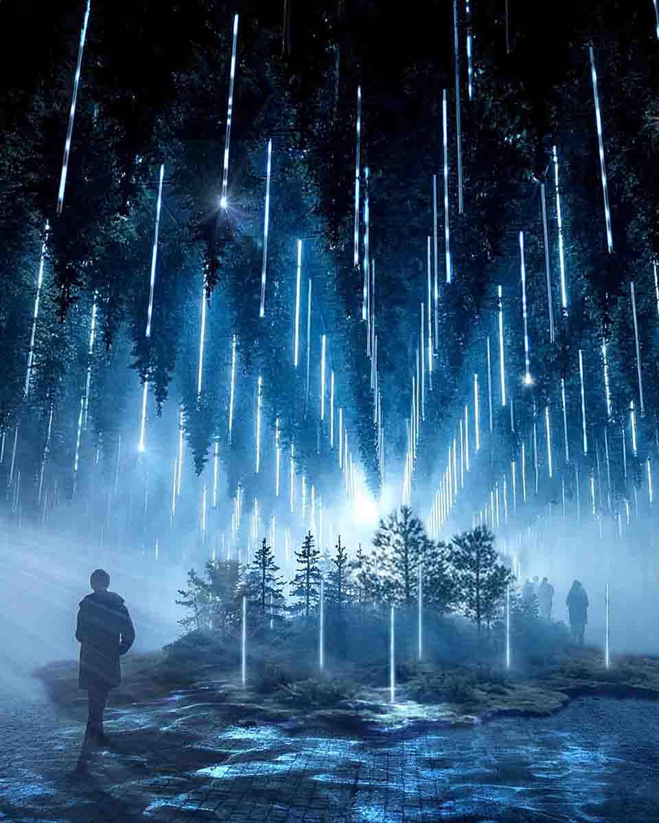 dark matter by forest season