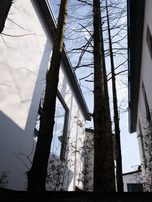 zhidao villa homestay in xiaoling village by wumi chi architectural design studio