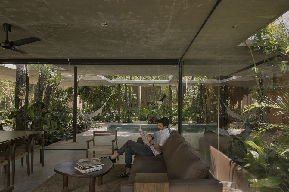 a forest in the house by equipo de arquitectura