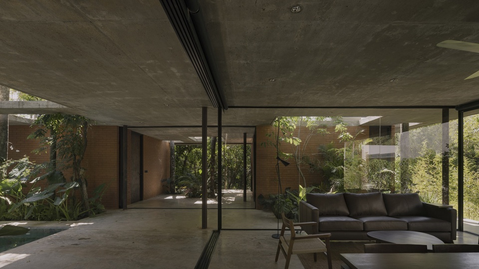 a forest in the house by equipo de arquitectura