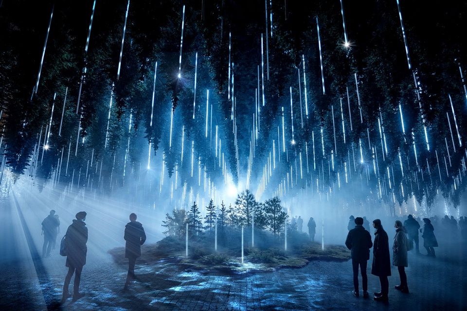 dark matter by forest season