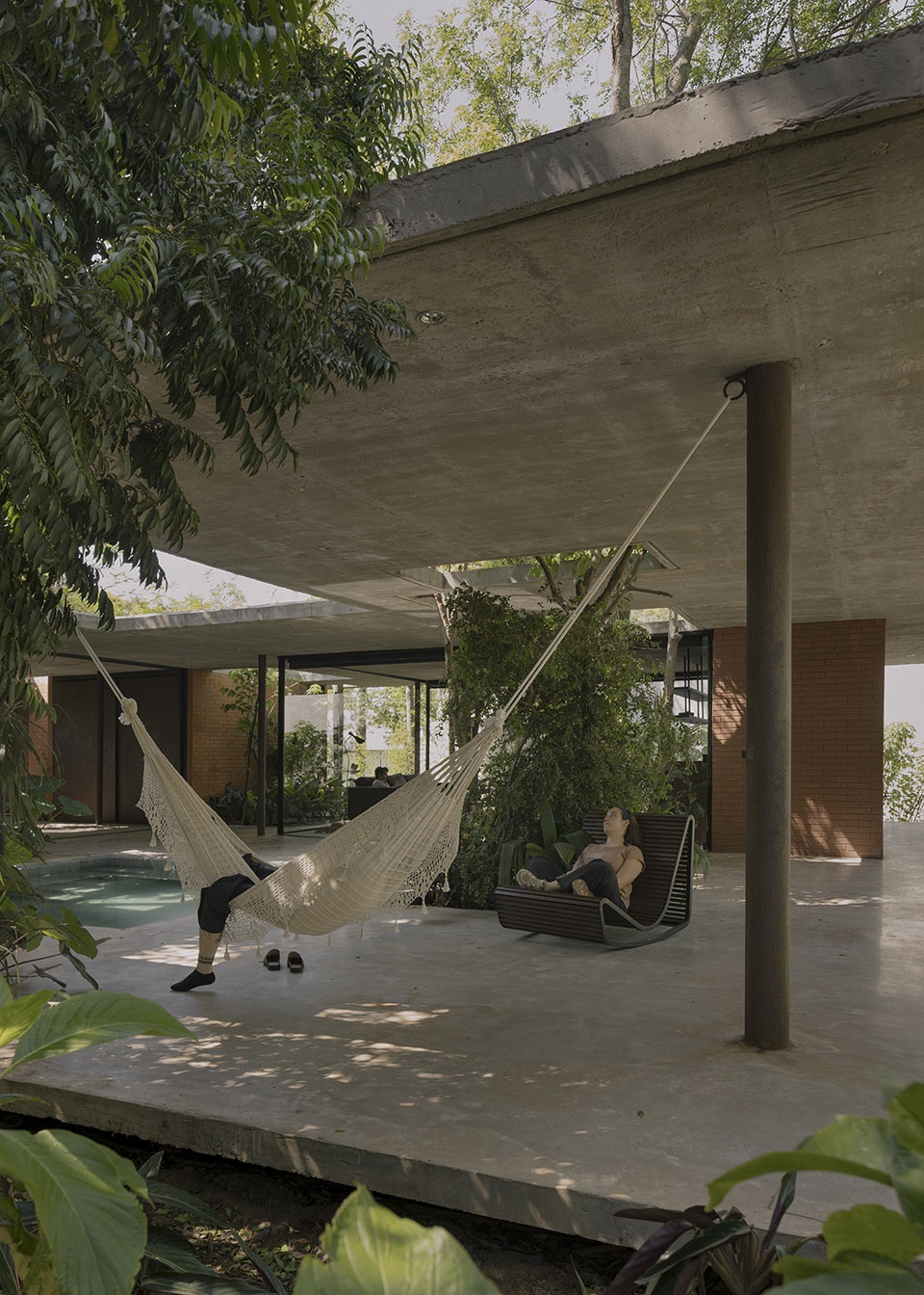 a forest in the house by equipo de arquitectura