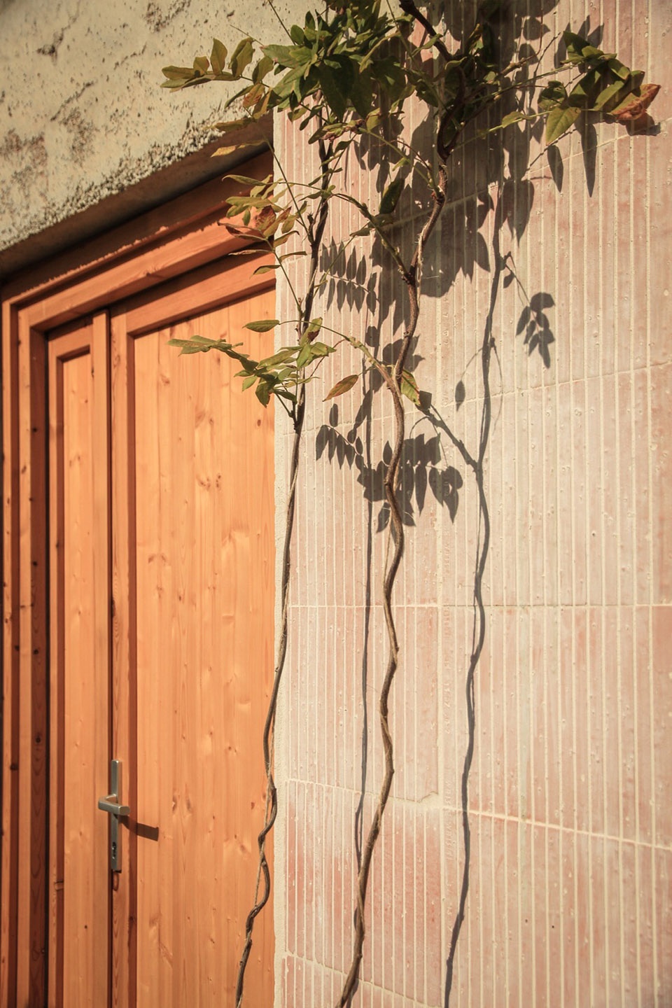 House in Cervello by Arqbag