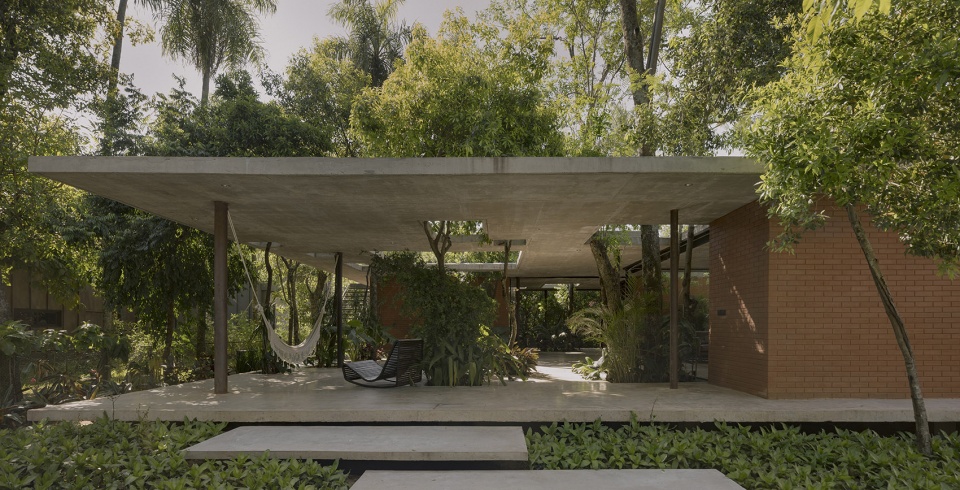 a forest in the house by equipo de arquitectura