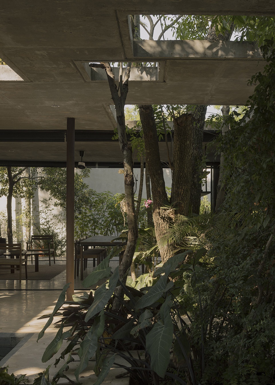 a forest in the house by equipo de arquitectura