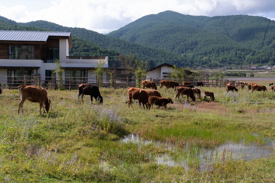 Lugu Lanyond Alpine Lake Retreat by Z scape
