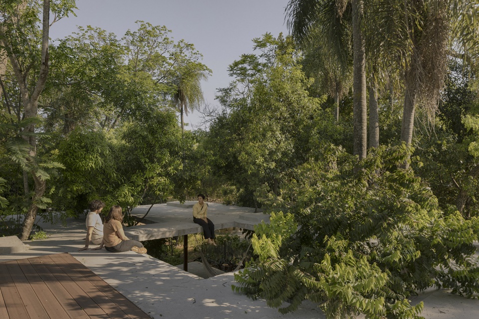 a forest in the house by equipo de arquitectura